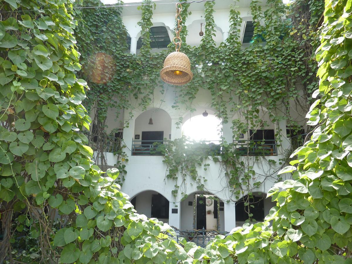 Inn Seventh Heaven Пушкар Екстериор снимка